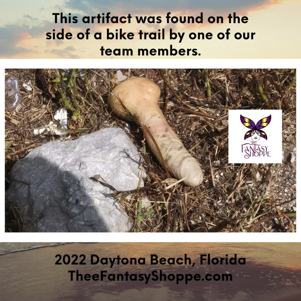 Image of dildo found on the side of a bike trail in Daytona Beach, Florida.