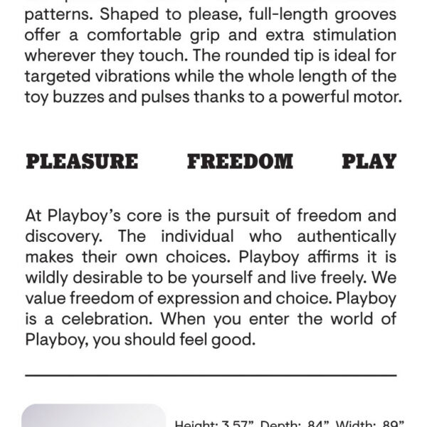 Playboy Pleasure - Playboy Bullet - Vibrator - Dark Purple